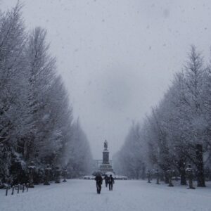 元旦の雪景色（千代田区九段北）